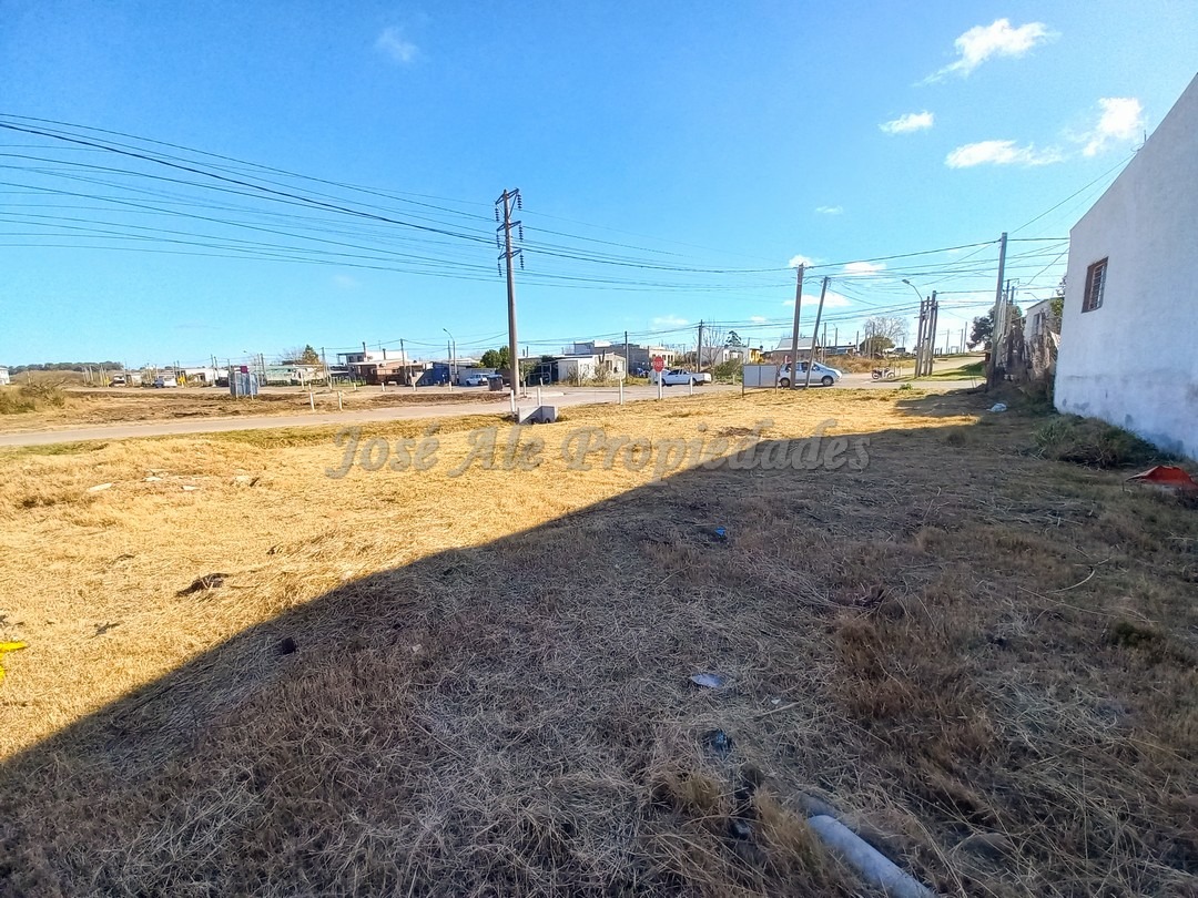 1641_4.jpeg 1641_4.jpeg