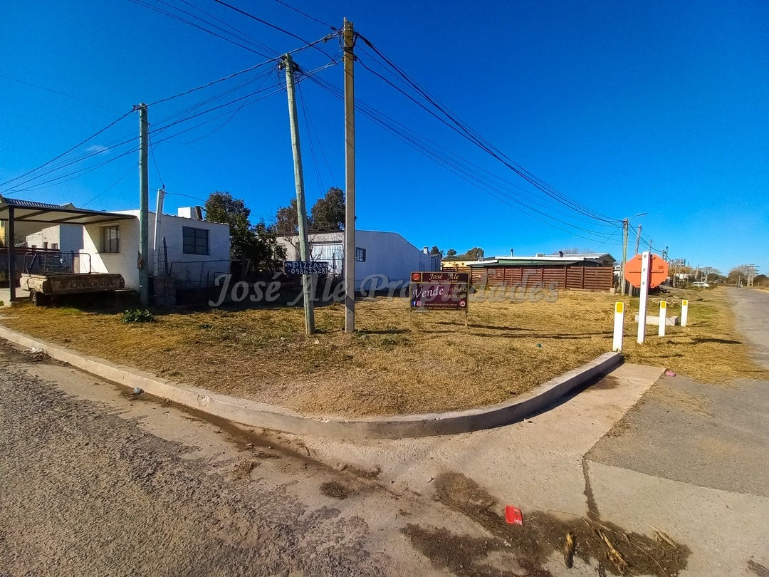 1641_6.jpeg 1641_6.jpeg