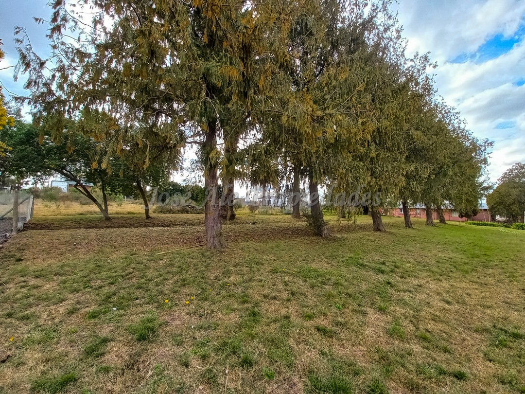 1773_8.jpeg 1773_8.jpeg
